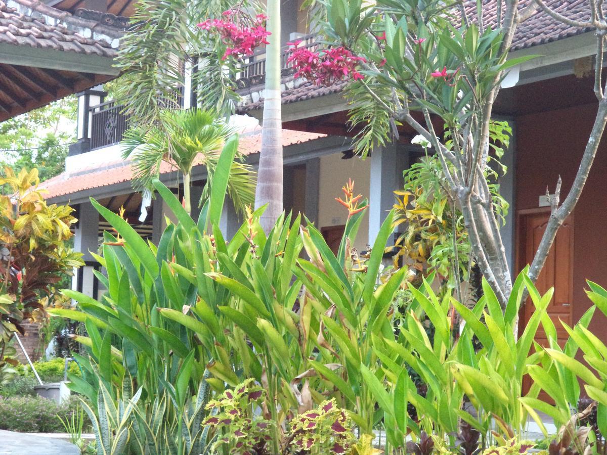 Hotel My Lovina מראה חיצוני תמונה